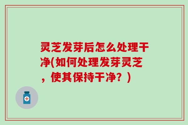 灵芝发芽后怎么处理干净(如何处理发芽灵芝，使其保持干净？)