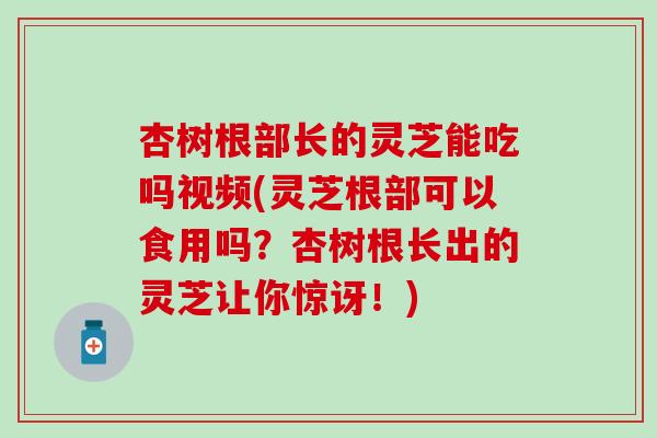杏树根部长的灵芝能吃吗视频(灵芝根部可以食用吗？杏树根长出的灵芝让你惊讶！)