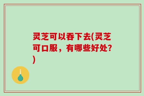 灵芝可以吞下去(灵芝可口服，有哪些好处？)