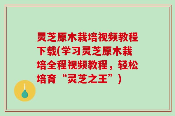 灵芝原木栽培视频教程下载(学习灵芝原木栽培全程视频教程，轻松培育“灵芝之王”)