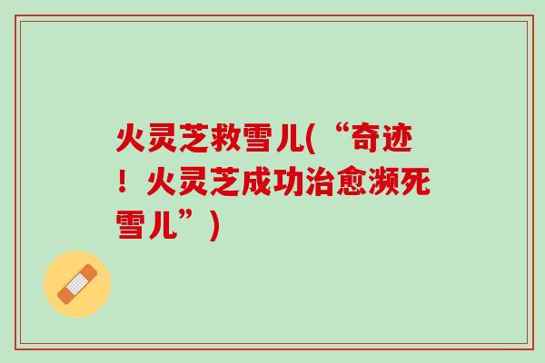 火灵芝救雪儿(“奇迹！火灵芝成功治愈濒死雪儿”)