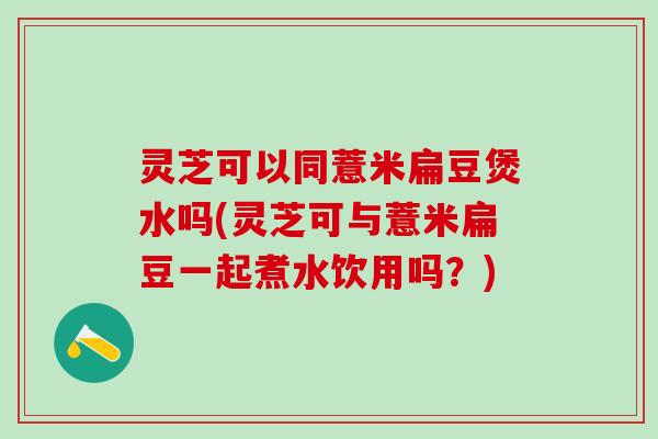 灵芝可以同薏米扁豆煲水吗(灵芝可与薏米扁豆一起煮水饮用吗？)