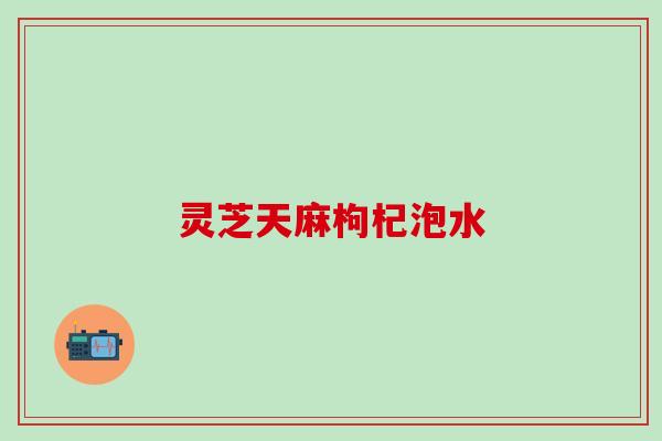 灵芝天麻枸杞泡水