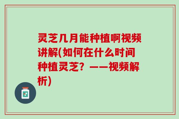 灵芝几月能种植啊视频讲解(如何在什么时间种植灵芝？——视频解析)