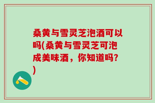 桑黄与雪灵芝泡酒可以吗(桑黄与雪灵芝可泡成美味酒，你知道吗？)