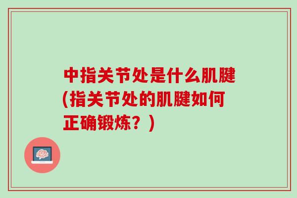 中指关节处是什么肌腱(指关节处的肌腱如何正确锻炼？)