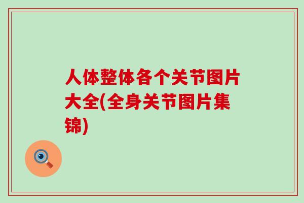 人体整体各个关节图片大全(全身关节图片集锦)
