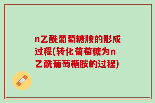 n乙酰葡萄糖胺的形成过程(转化葡萄糖为n乙酰葡萄糖胺的过程)
