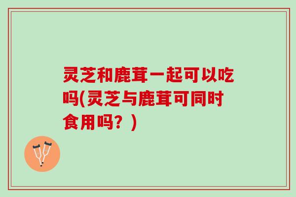 灵芝和鹿茸一起可以吃吗(灵芝与鹿茸可同时食用吗？)