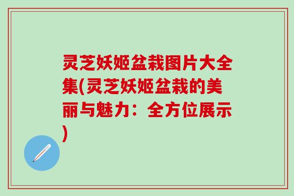 灵芝妖姬盆栽图片大全集(灵芝妖姬盆栽的美丽与魅力：全方位展示)