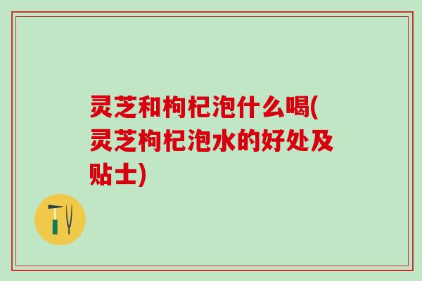 灵芝和枸杞泡什么喝(灵芝枸杞泡水的好处及贴士)