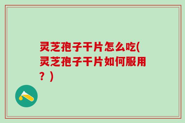 灵芝孢子干片怎么吃(灵芝孢子干片如何服用？)