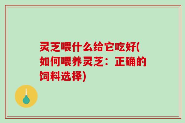 灵芝喂什么给它吃好(如何喂养灵芝：正确的饲料选择)