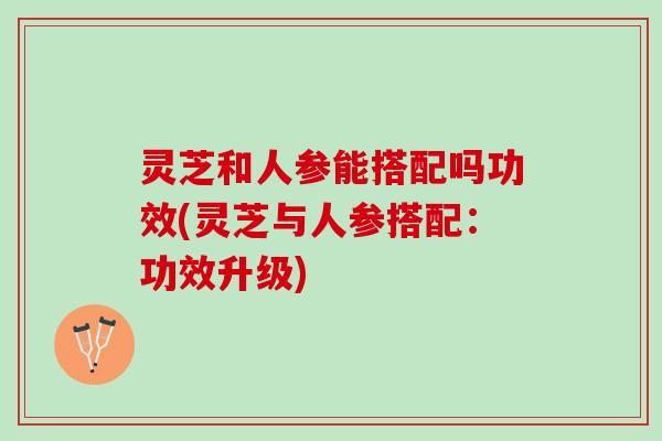 灵芝和人参能搭配吗功效(灵芝与人参搭配：功效升级)