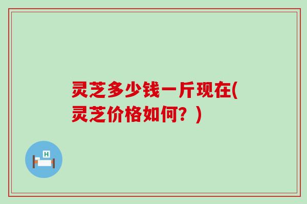 灵芝多少钱一斤现在(灵芝价格如何？)