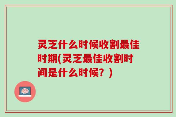 灵芝什么时候收割最佳时期(灵芝最佳收割时间是什么时候？)