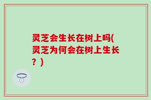 灵芝会生长在树上吗(灵芝为何会在树上生长？)