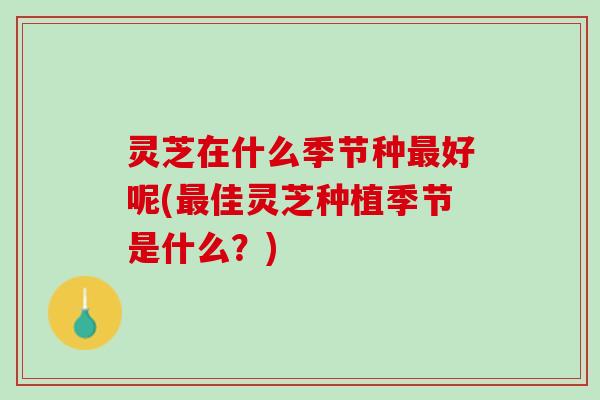 灵芝在什么季节种最好呢(最佳灵芝种植季节是什么？)