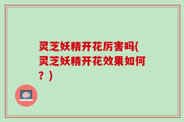灵芝妖精开花厉害吗(灵芝妖精开花效果如何？)