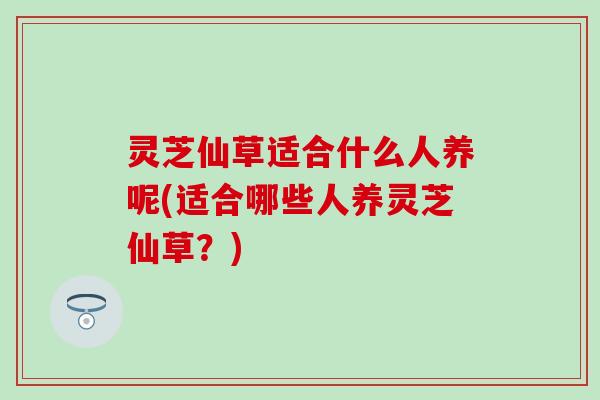 灵芝仙草适合什么人养呢(适合哪些人养灵芝仙草？)