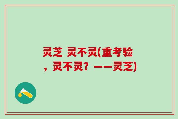 灵芝 灵不灵(重考验，灵不灵？——灵芝)