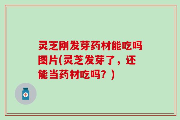 灵芝刚发芽药材能吃吗图片(灵芝发芽了，还能当药材吃吗？)