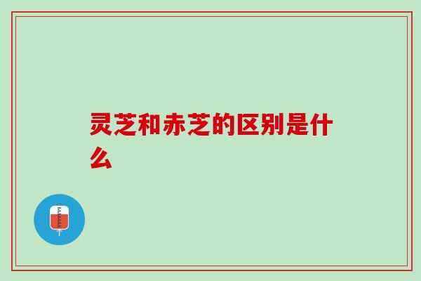灵芝和赤芝的区别是什么