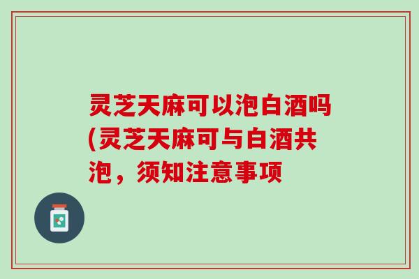 灵芝天麻可以泡白酒吗(灵芝天麻可与白酒共泡，须知注意事项