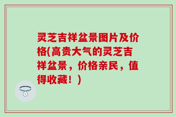 灵芝吉祥盆景图片及价格(高贵大气的灵芝吉祥盆景，价格亲民，值得收藏！)
