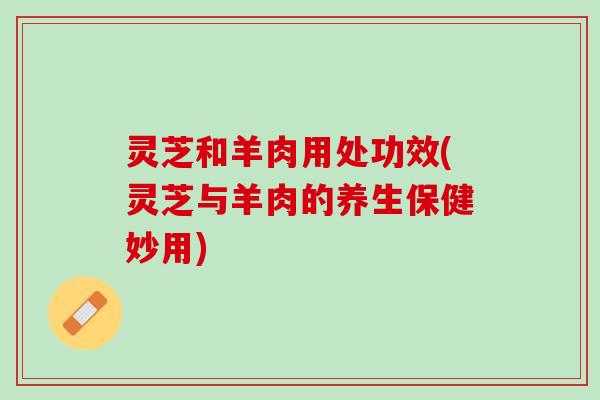 灵芝和羊肉用处功效(灵芝与羊肉的养生保健妙用)