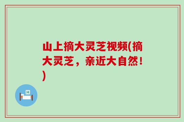 山上摘大灵芝视频(摘大灵芝，亲近大自然！)