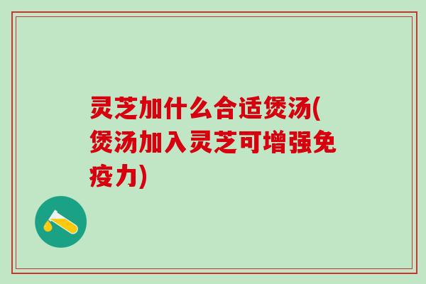 灵芝加什么合适煲汤(煲汤加入灵芝可增强免疫力)