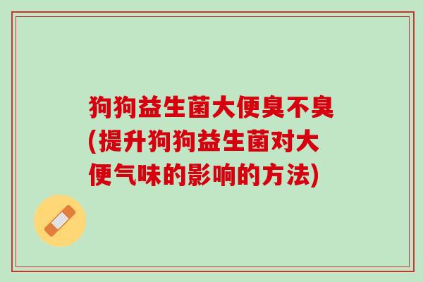 狗狗益生菌大便臭不臭(提升狗狗益生菌对大便气味的影响的方法)
