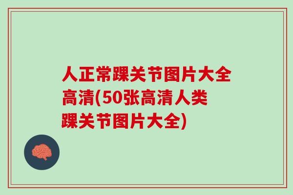 人正常踝关节图片大全高清(50张高清人类踝关节图片大全)