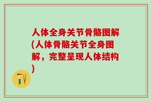人体全身关节骨骼图解(人体骨骼关节全身图解，完整呈现人体结构)