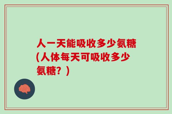 人一天能吸收多少氨糖(人体每天可吸收多少氨糖？)