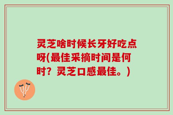 灵芝啥时候长牙好吃点呀(最佳采摘时间是何时？灵芝口感最佳。)