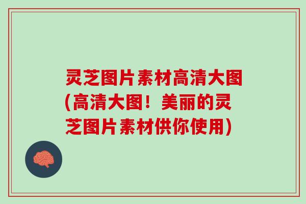 灵芝图片素材高清大图(高清大图！美丽的灵芝图片素材供你使用)