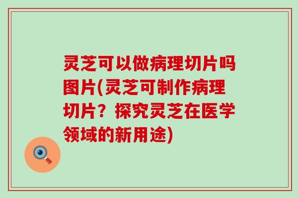 灵芝可以做病理切片吗图片(灵芝可制作病理切片？探究灵芝在医学领域的新用途)
