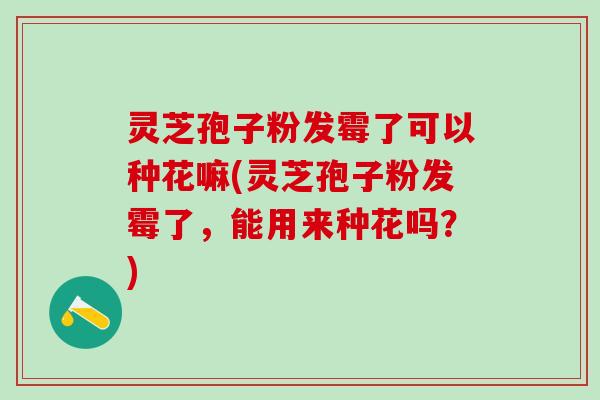 灵芝孢子粉发霉了可以种花嘛(灵芝孢子粉发霉了，能用来种花吗？)