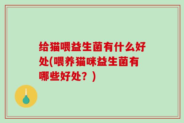 给猫喂益生菌有什么好处(喂养猫咪益生菌有哪些好处？)