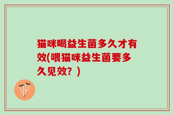 猫咪喝益生菌多久才有效(喂猫咪益生菌要多久见效？)