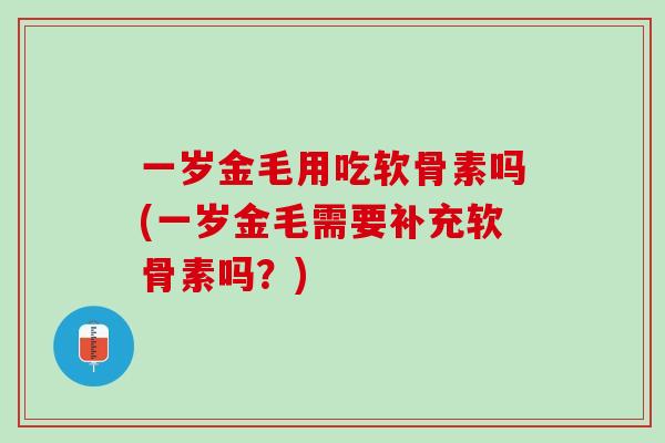 一岁金毛用吃软骨素吗(一岁金毛需要补充软骨素吗？)