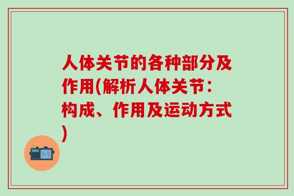 人体关节的各种部分及作用(解析人体关节：构成、作用及运动方式)
