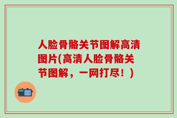 人脸骨骼关节图解高清图片(高清人脸骨骼关节图解，一网打尽！)