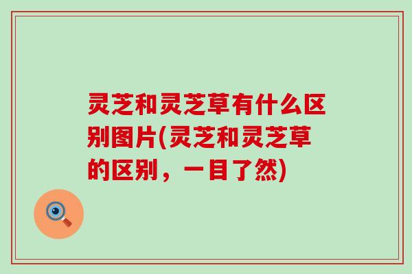 灵芝和灵芝草有什么区别图片(灵芝和灵芝草的区别，一目了然)