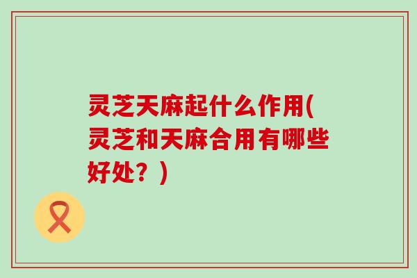 灵芝天麻起什么作用(灵芝和天麻合用有哪些好处？)