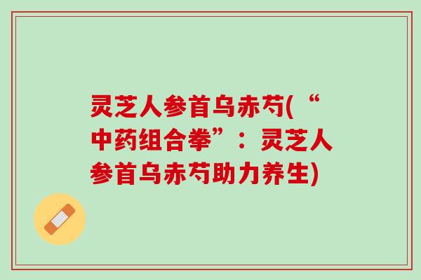灵芝人参首乌赤芍(“中药组合拳”：灵芝人参首乌赤芍助力养生)