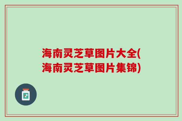 海南灵芝草图片大全(海南灵芝草图片集锦)