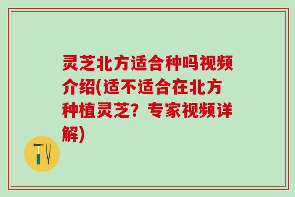 灵芝北方适合种吗视频介绍(适不适合在北方种植灵芝？专家视频详解)